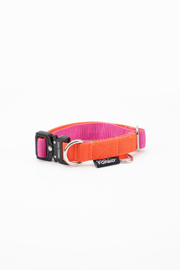 Buckle Collar