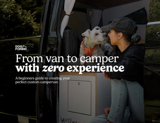 Header for "From van to camper with zero experience". A girl sat inside a camper van with her dog.