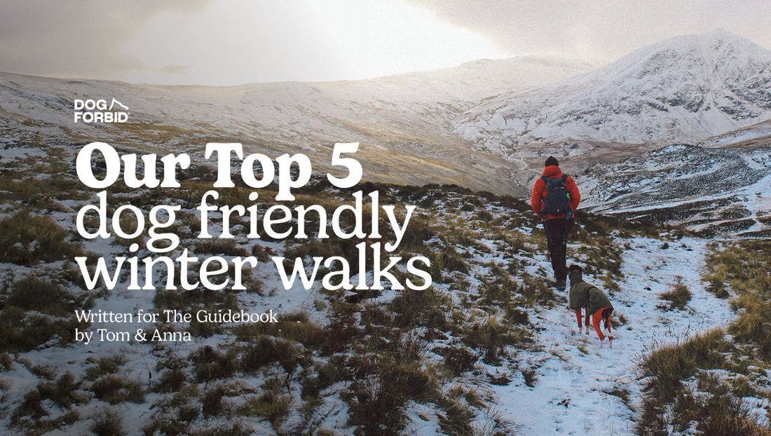 Man walking through snowy mountains with the Blog Title written next to him in white text