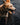 Leads - Dog Forbid