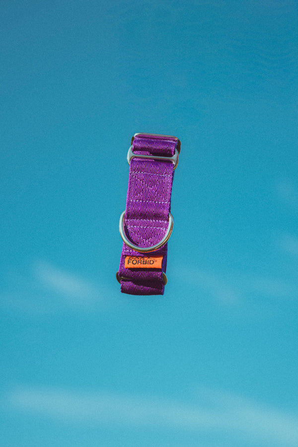 Steadfast™ Anti-Escape Martingale Collar