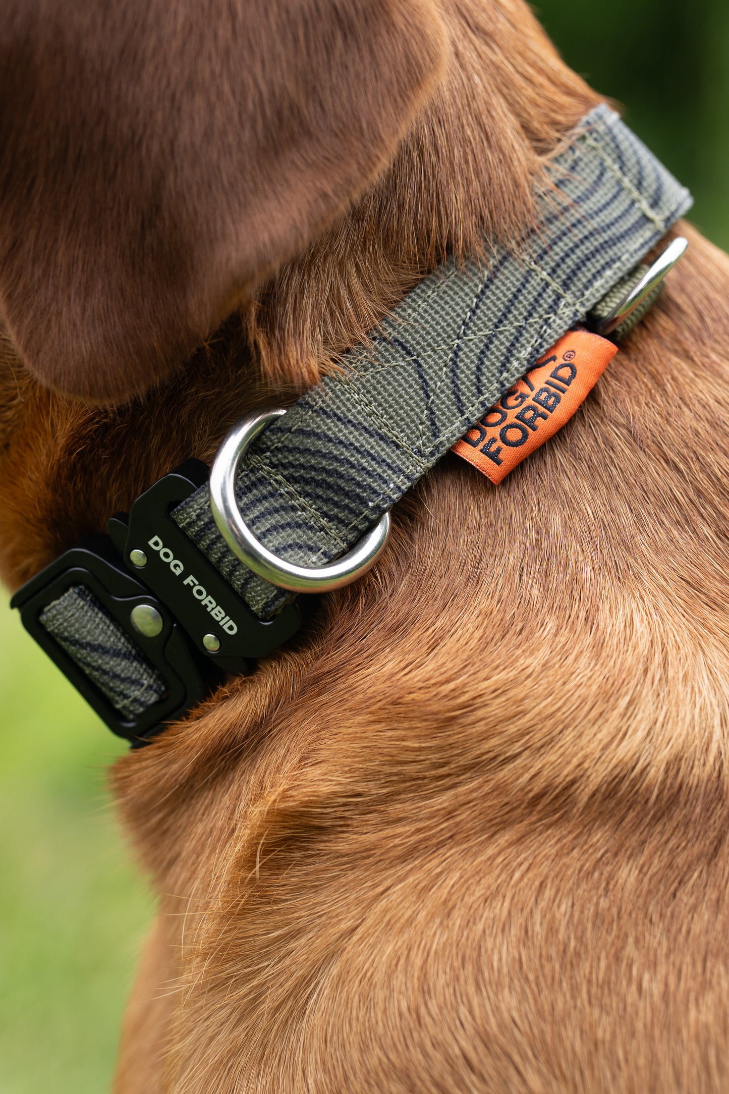 Buckle Collar: Khaki Terrain