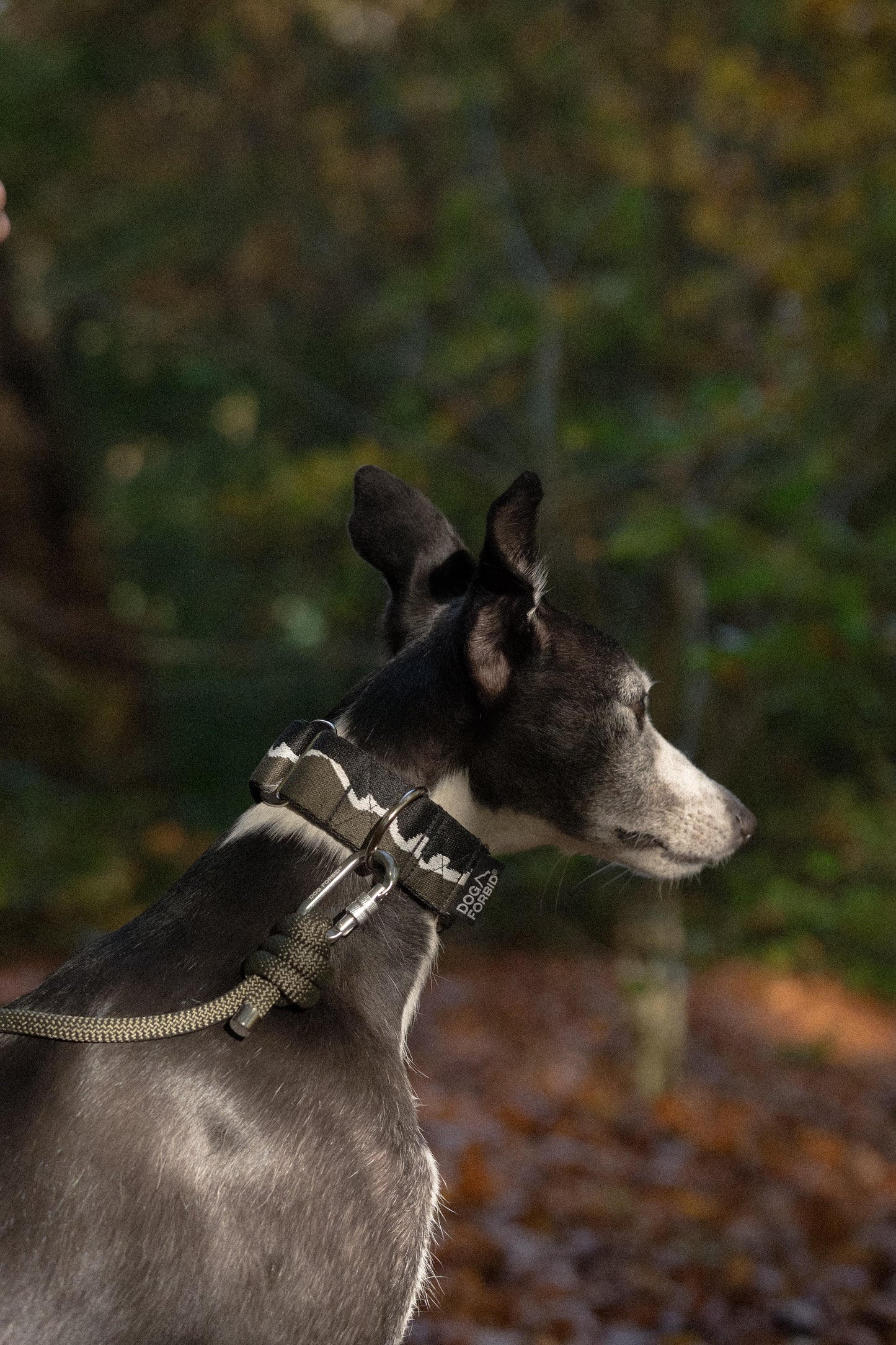 38mm Martingale: Mount Forbid | Black & Khaki