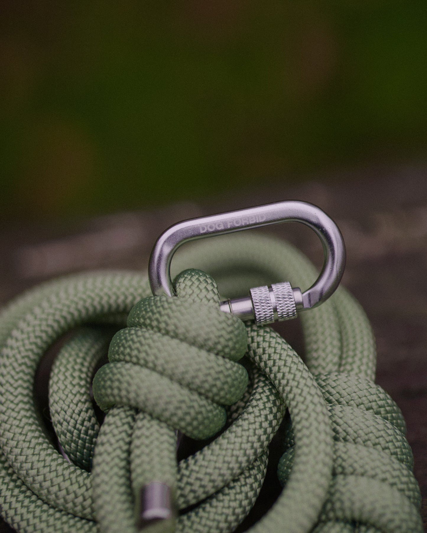 Rope Lead: Sage