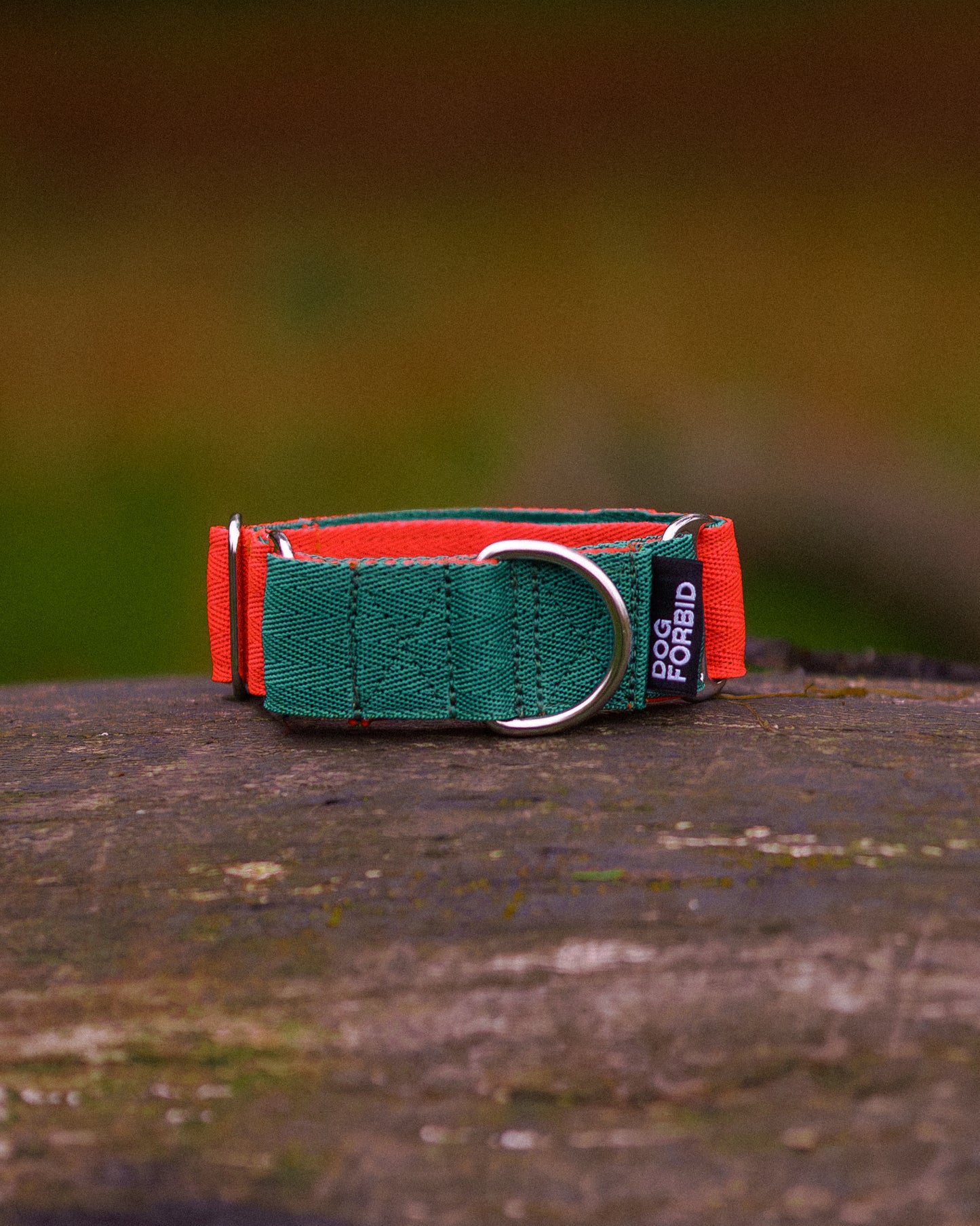 38mm Martingale: Green & Orange