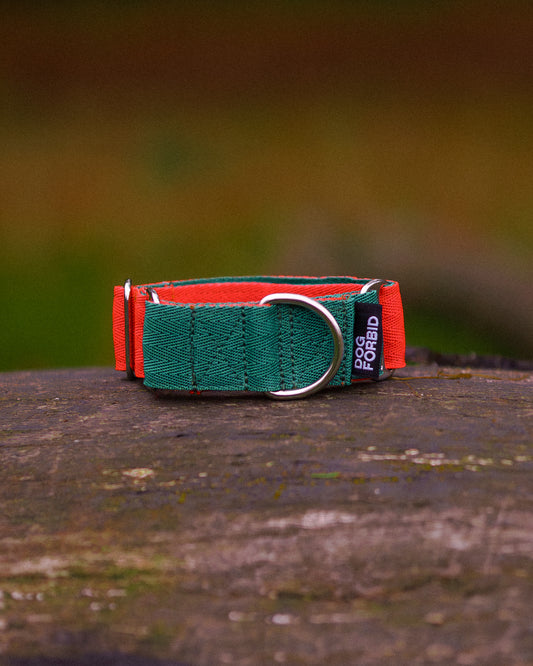 38mm Martingale: Green & Orange