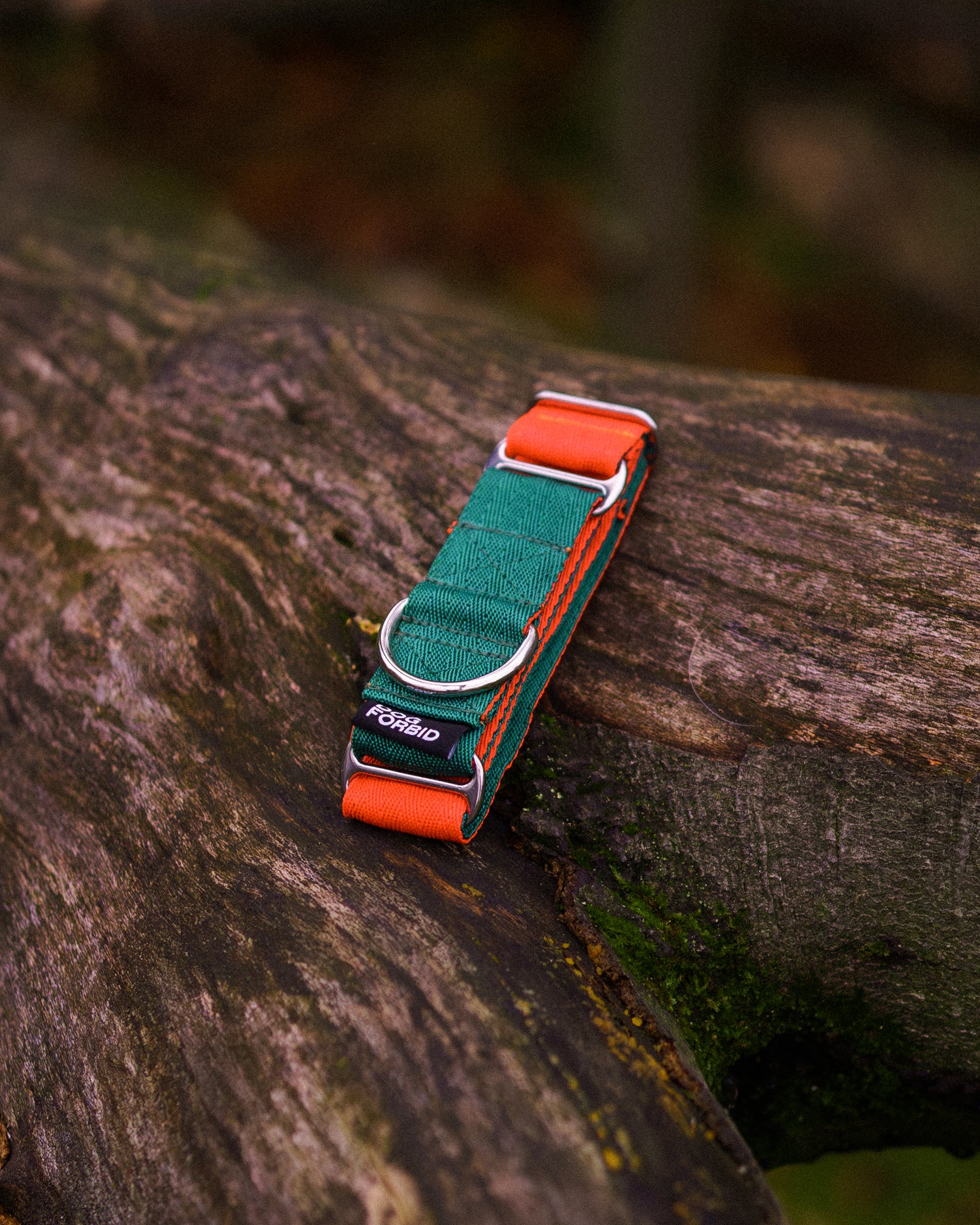 38mm Martingale: Green & Orange