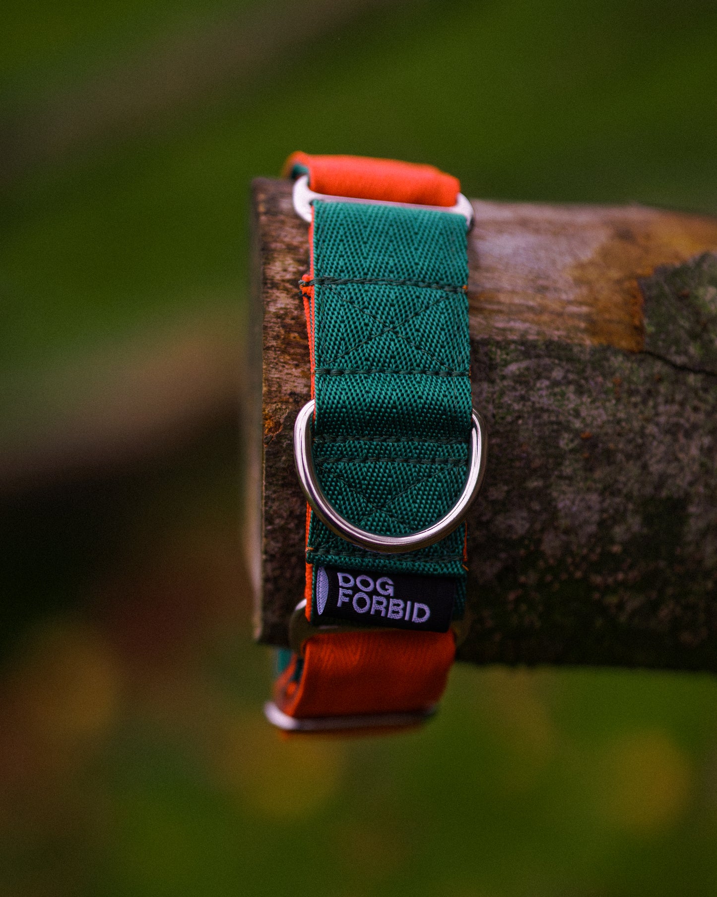 38mm Martingale: Green & Orange