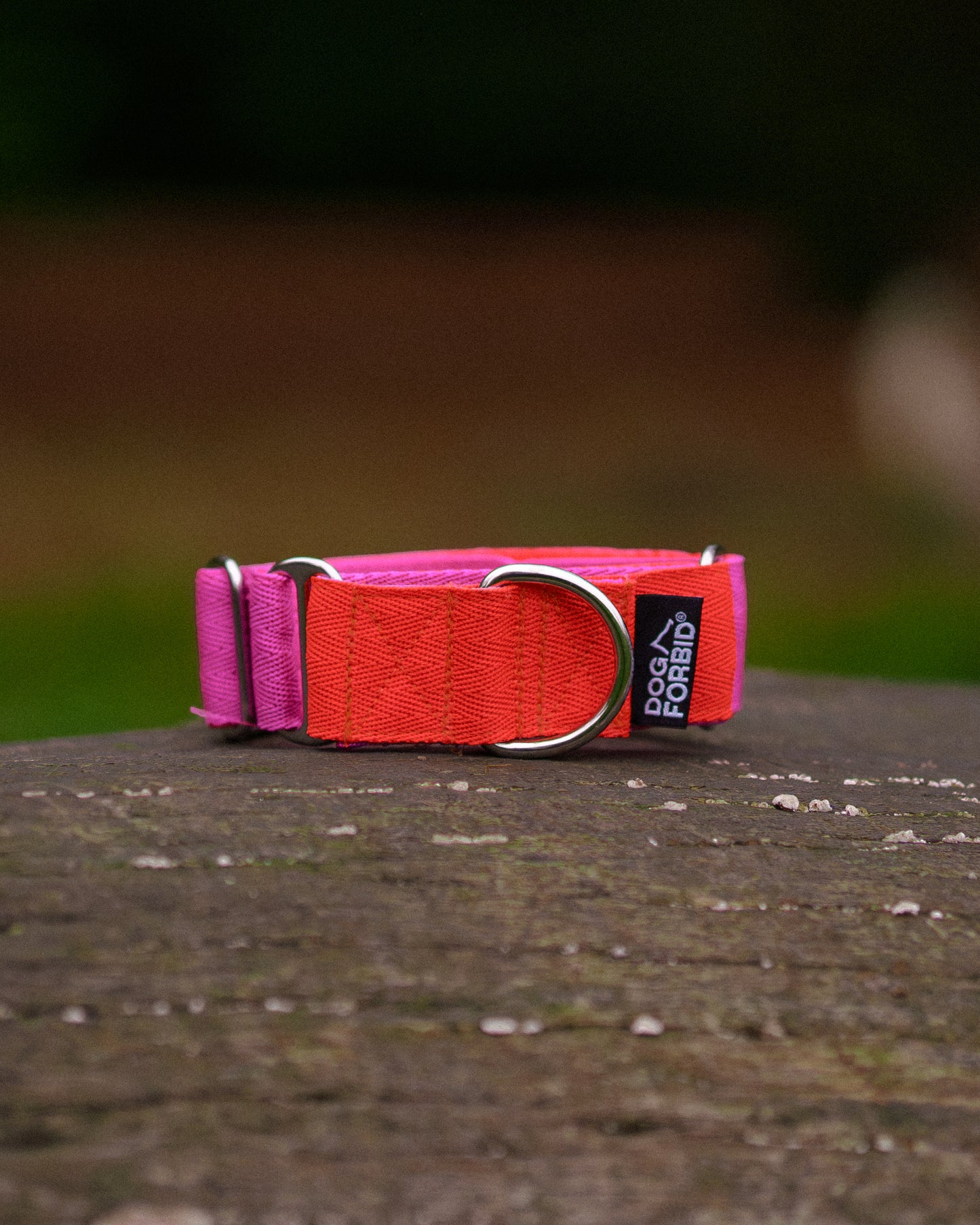 38mm Martingale: Pink & Orange