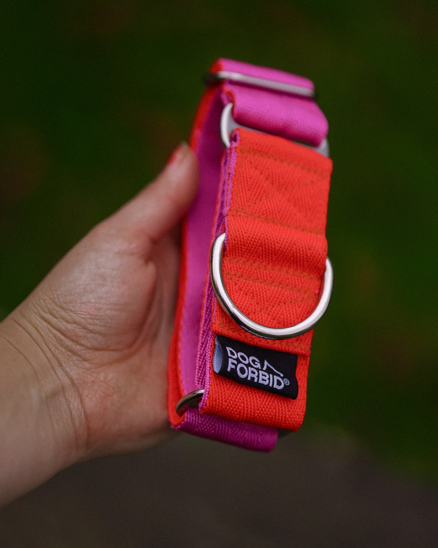 38mm Martingale: Pink & Orange