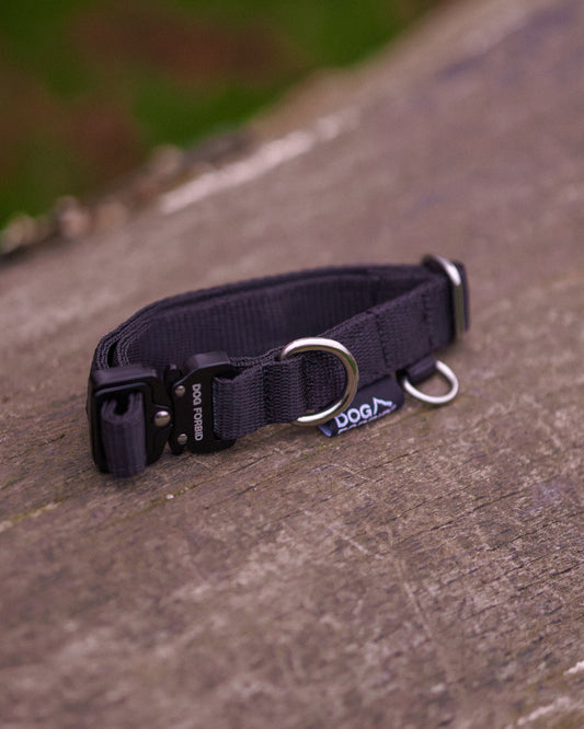 Buckle Collar: Black