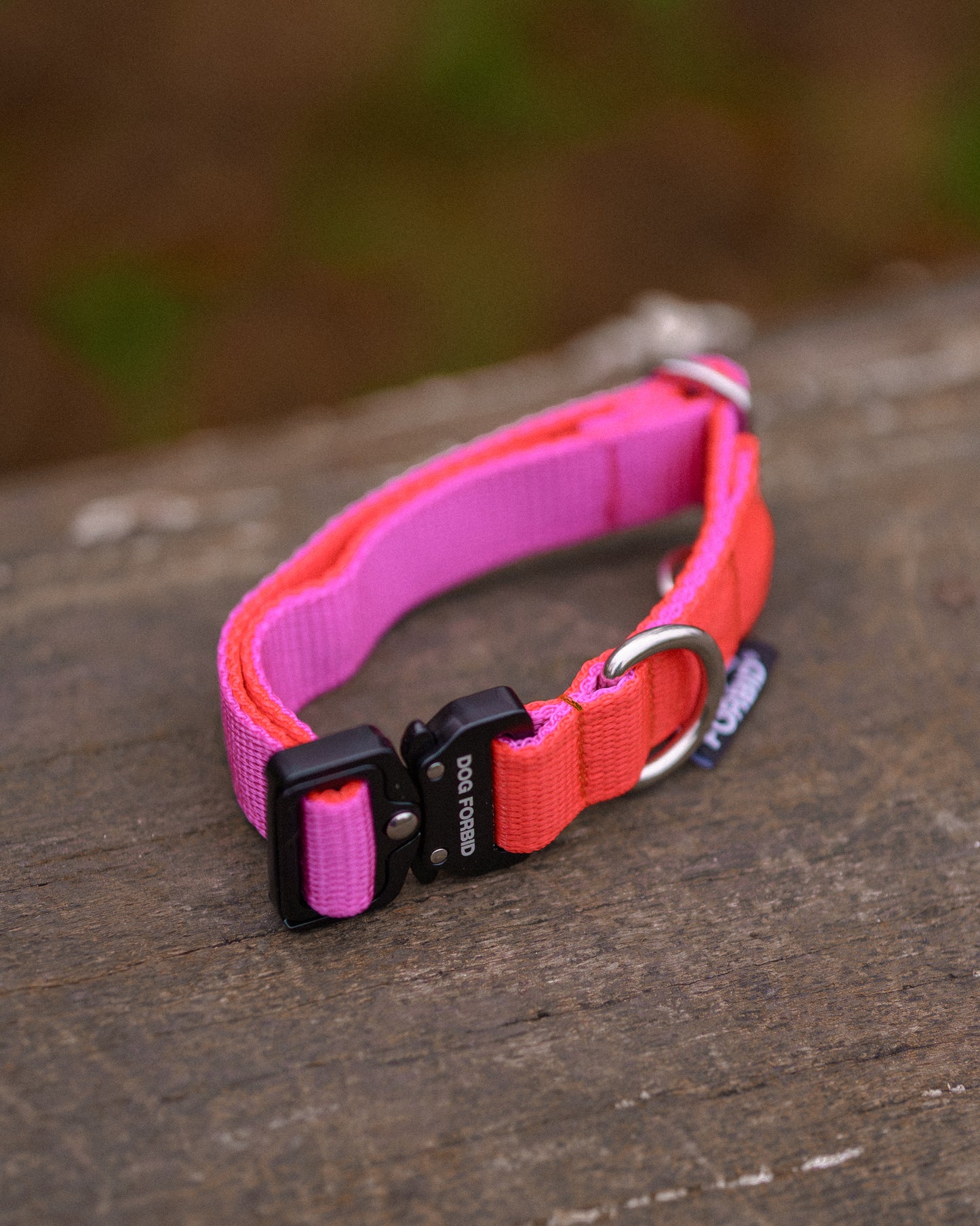 Buckle Collar: Pink and Orange