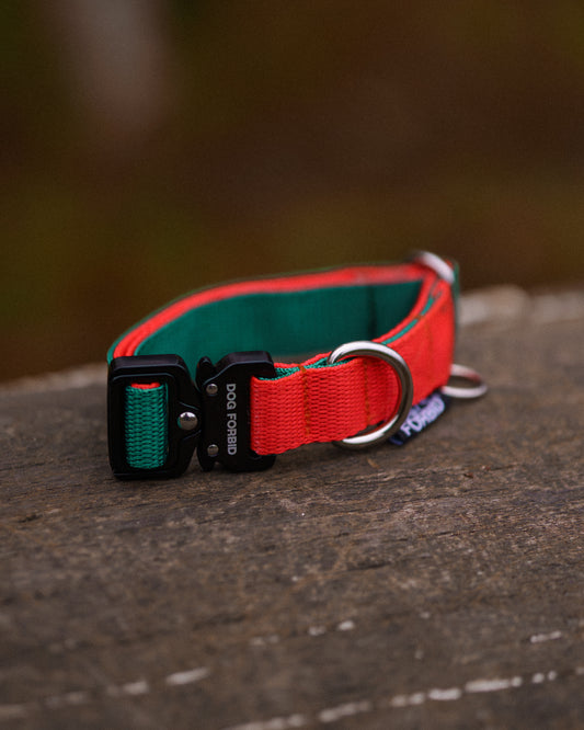 Buckle Collar: Green and Orange