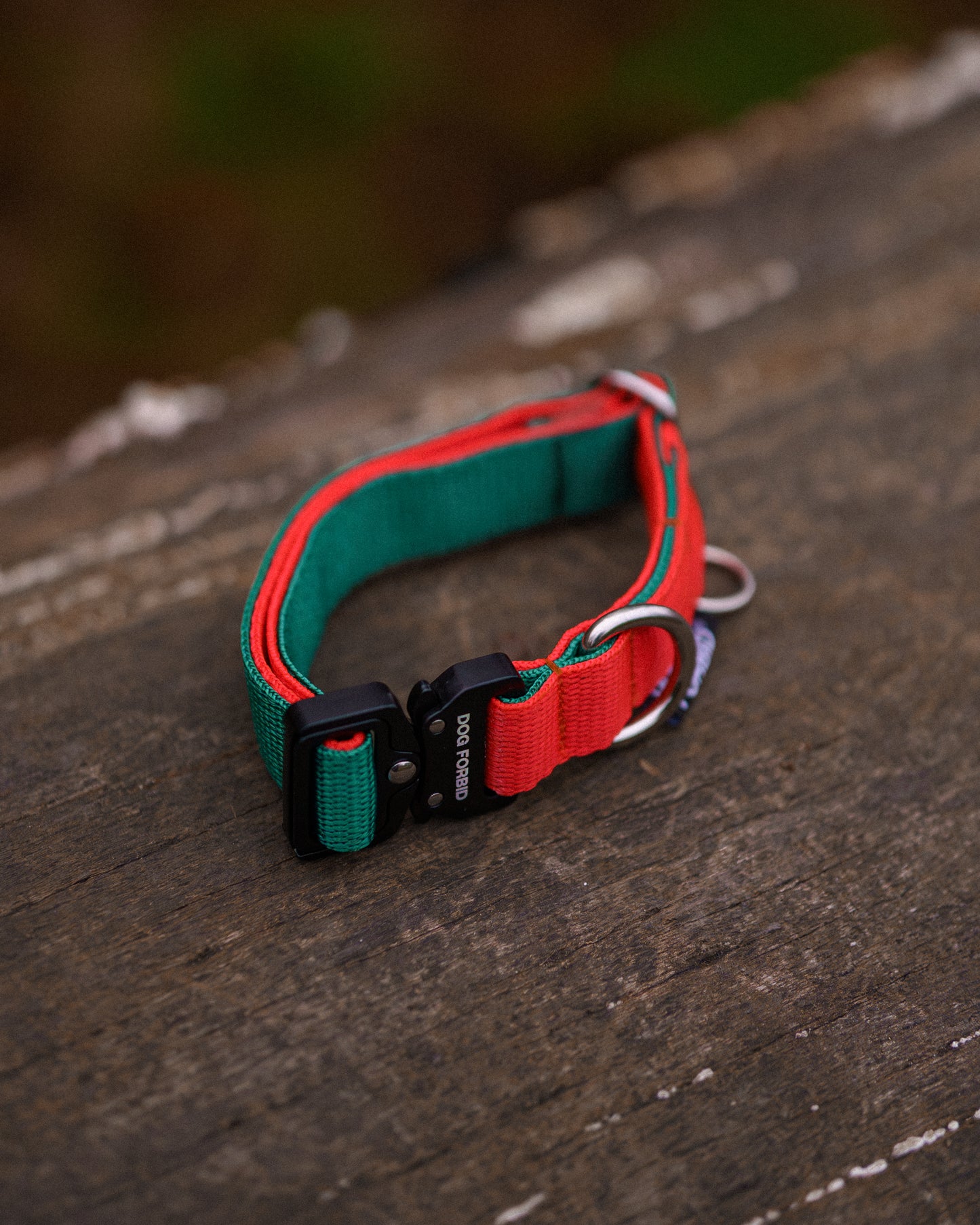 Buckle Collar: Green and Orange