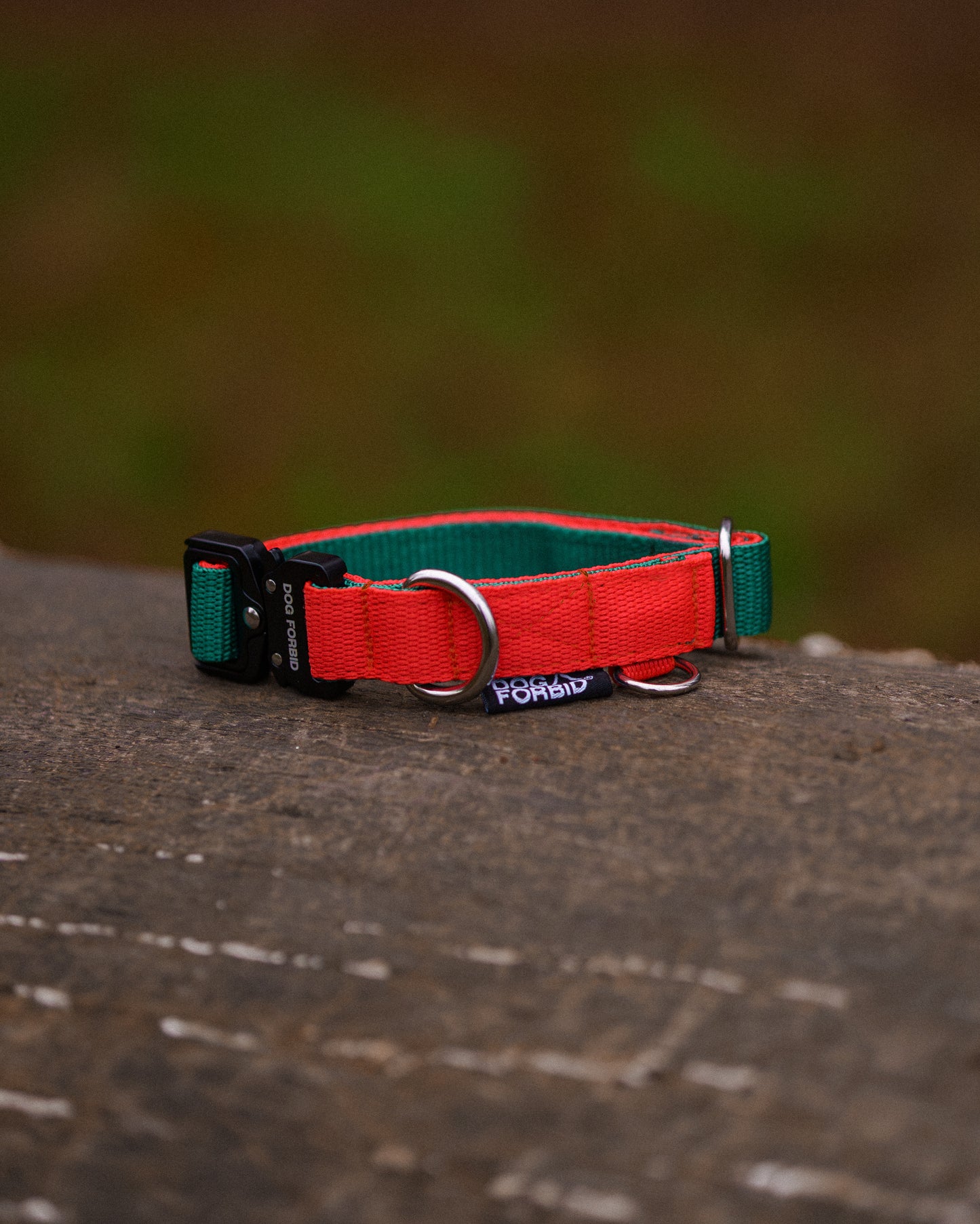 Buckle Collar: Green and Orange