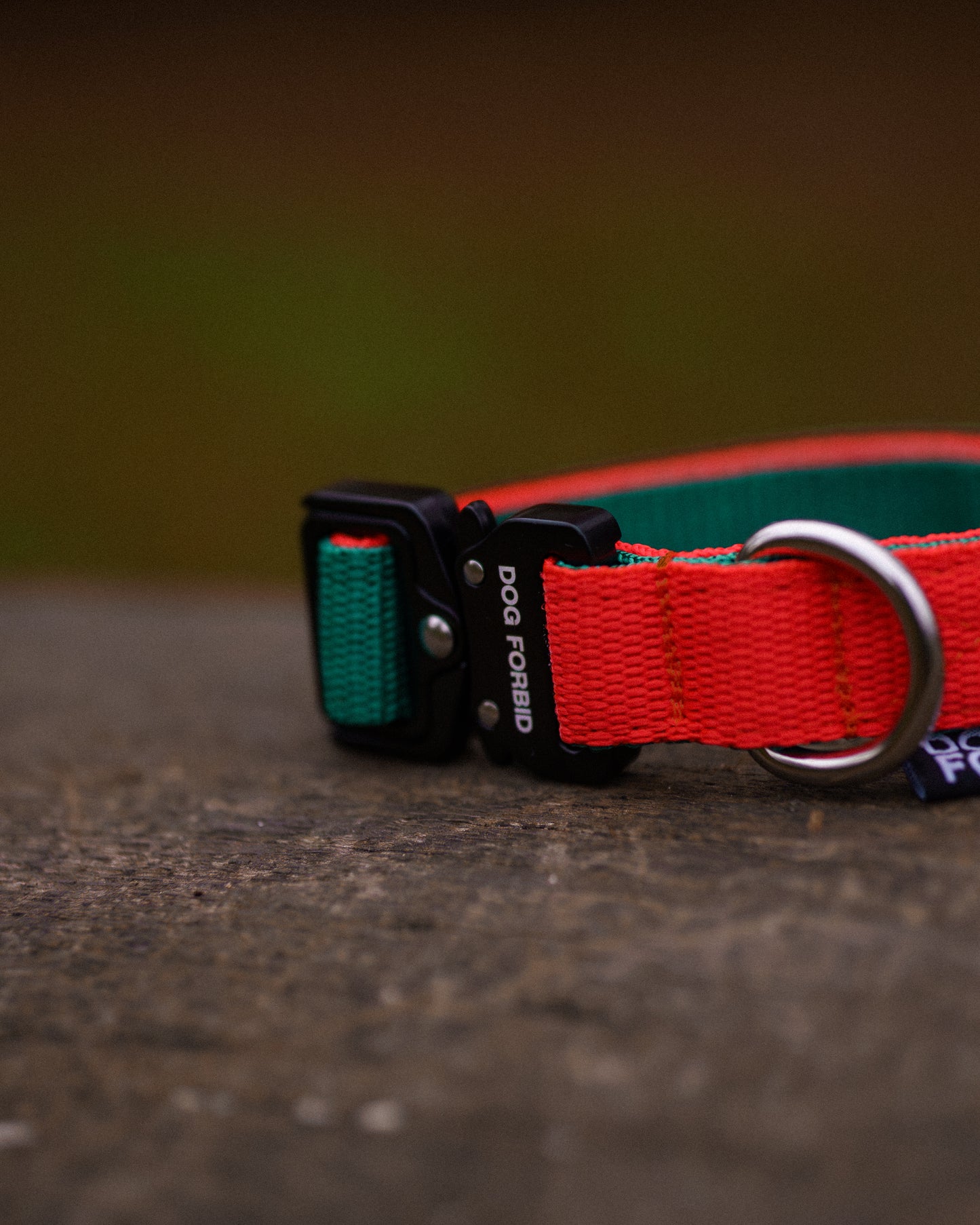 Buckle Collar: Green and Orange