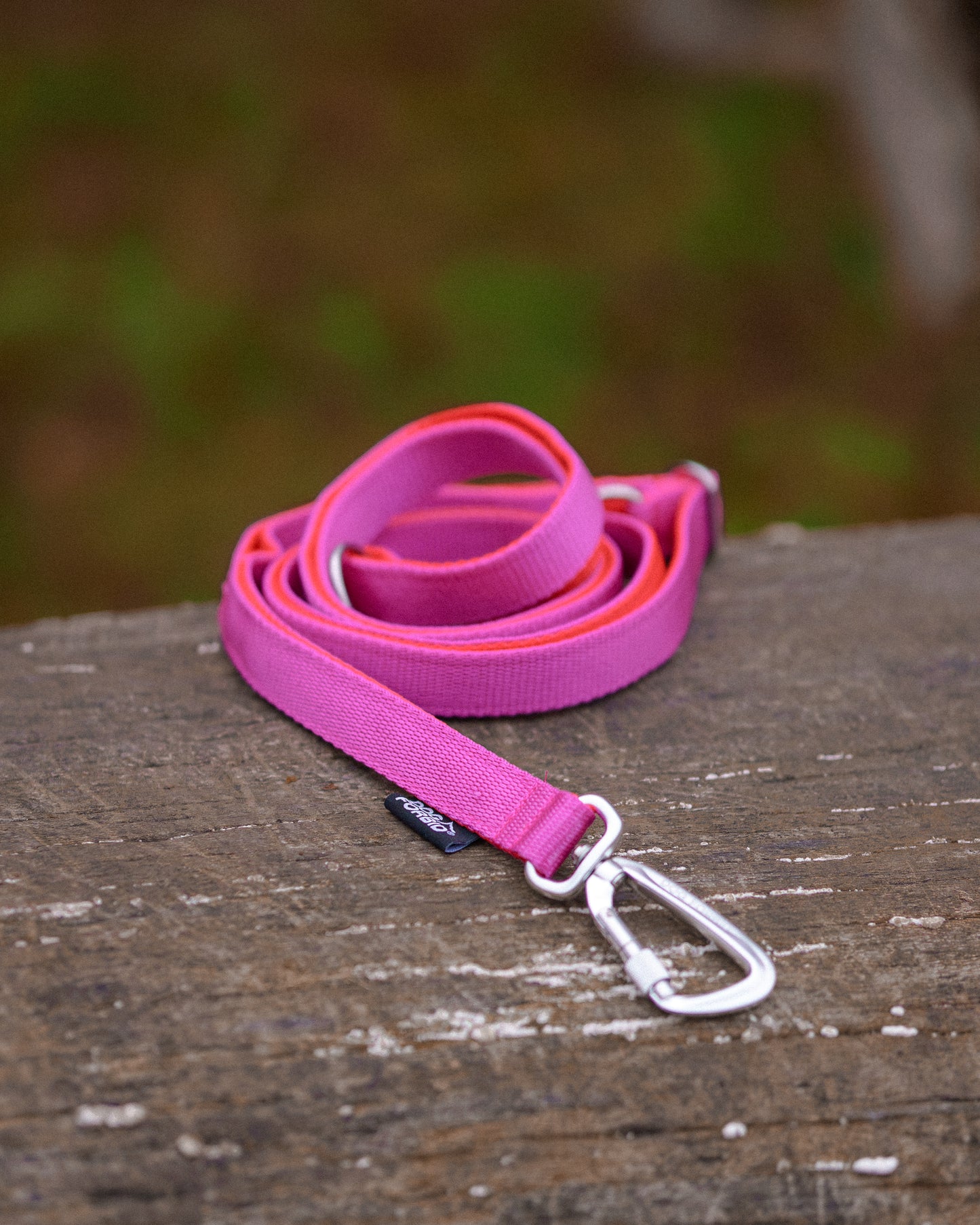 Flat Lead: Pink and Orange