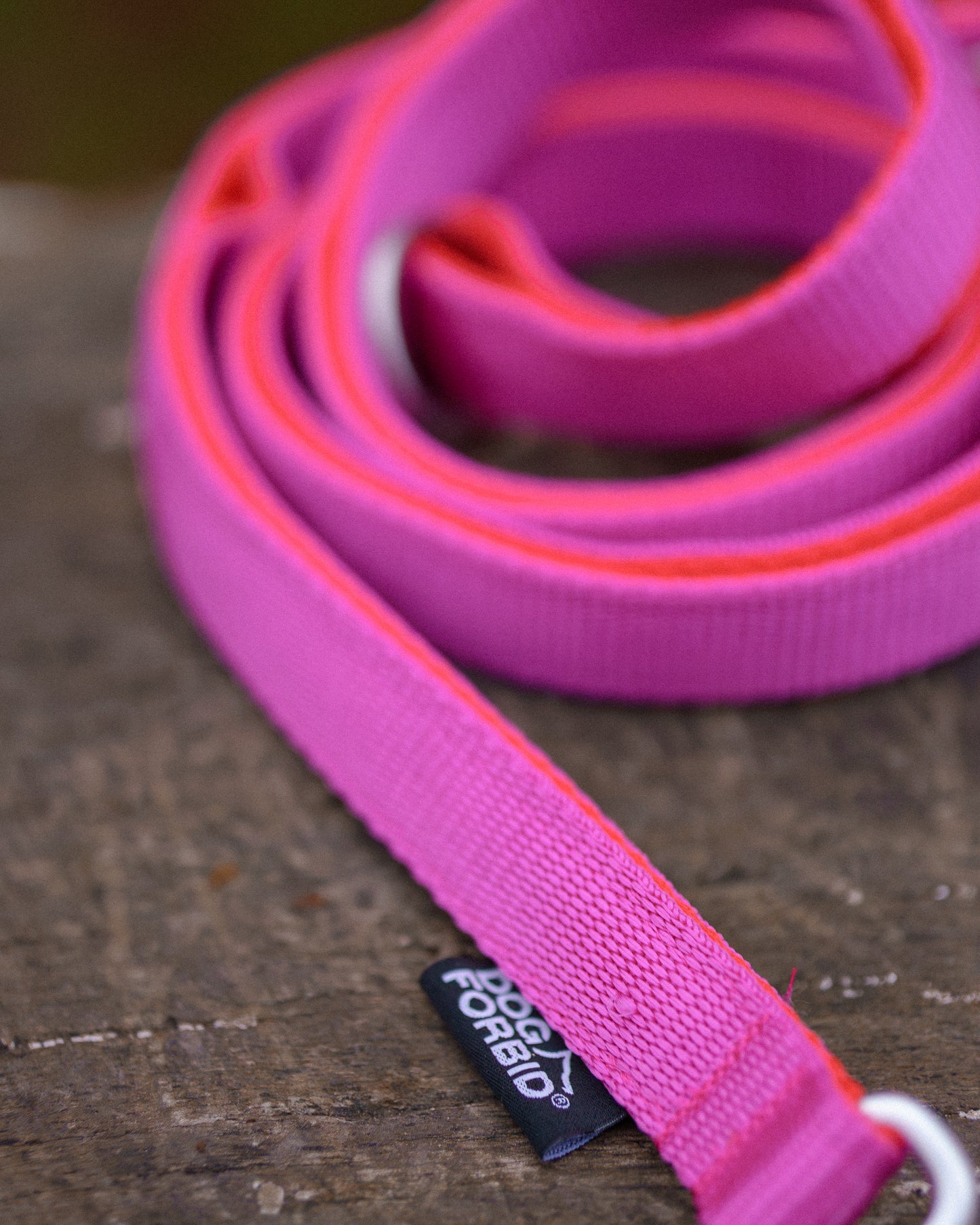 Flat Lead: Pink and Orange