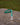 Flat Lead: Green and Orange
