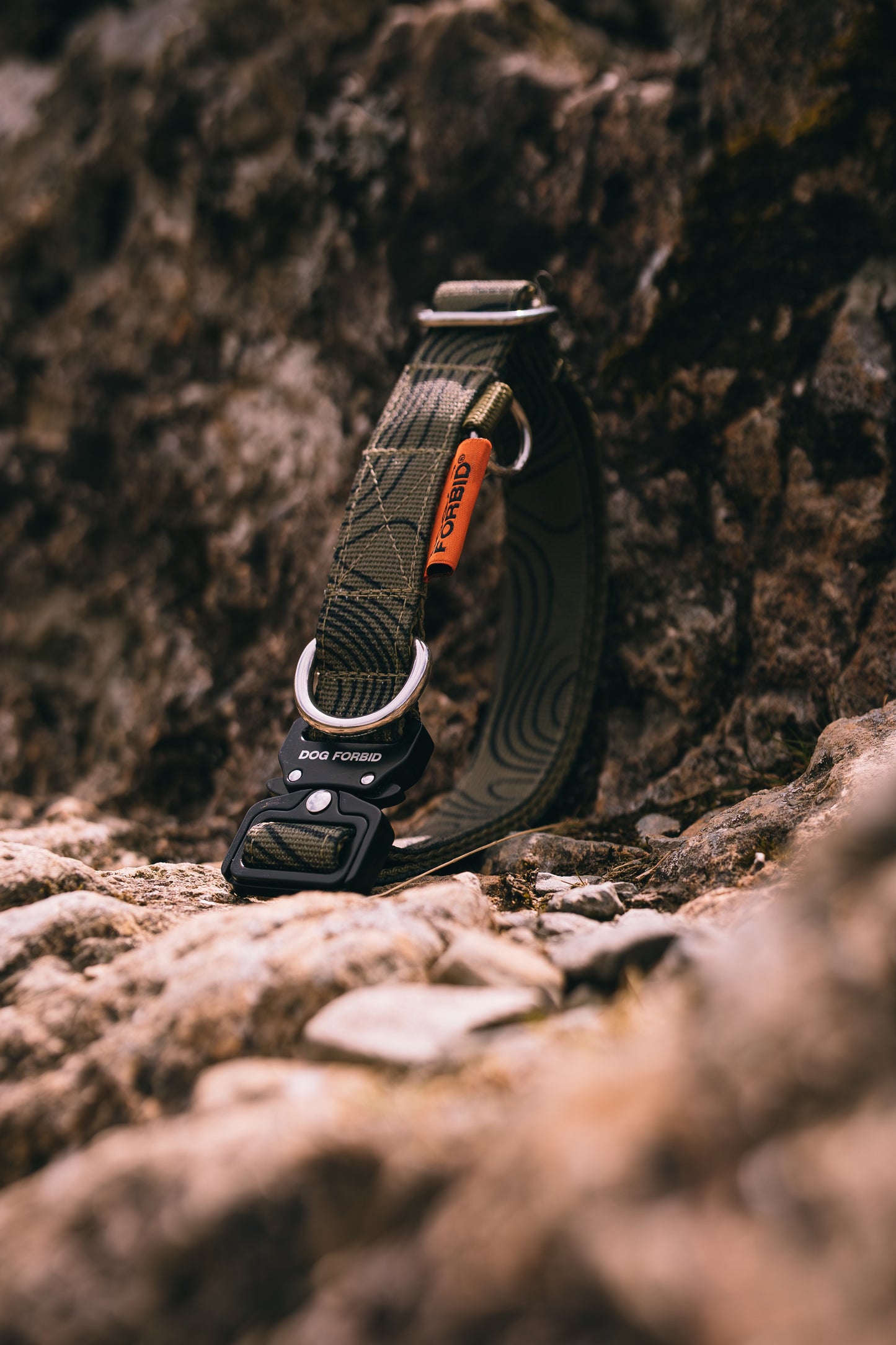 Buckle Collar: Khaki Terrain