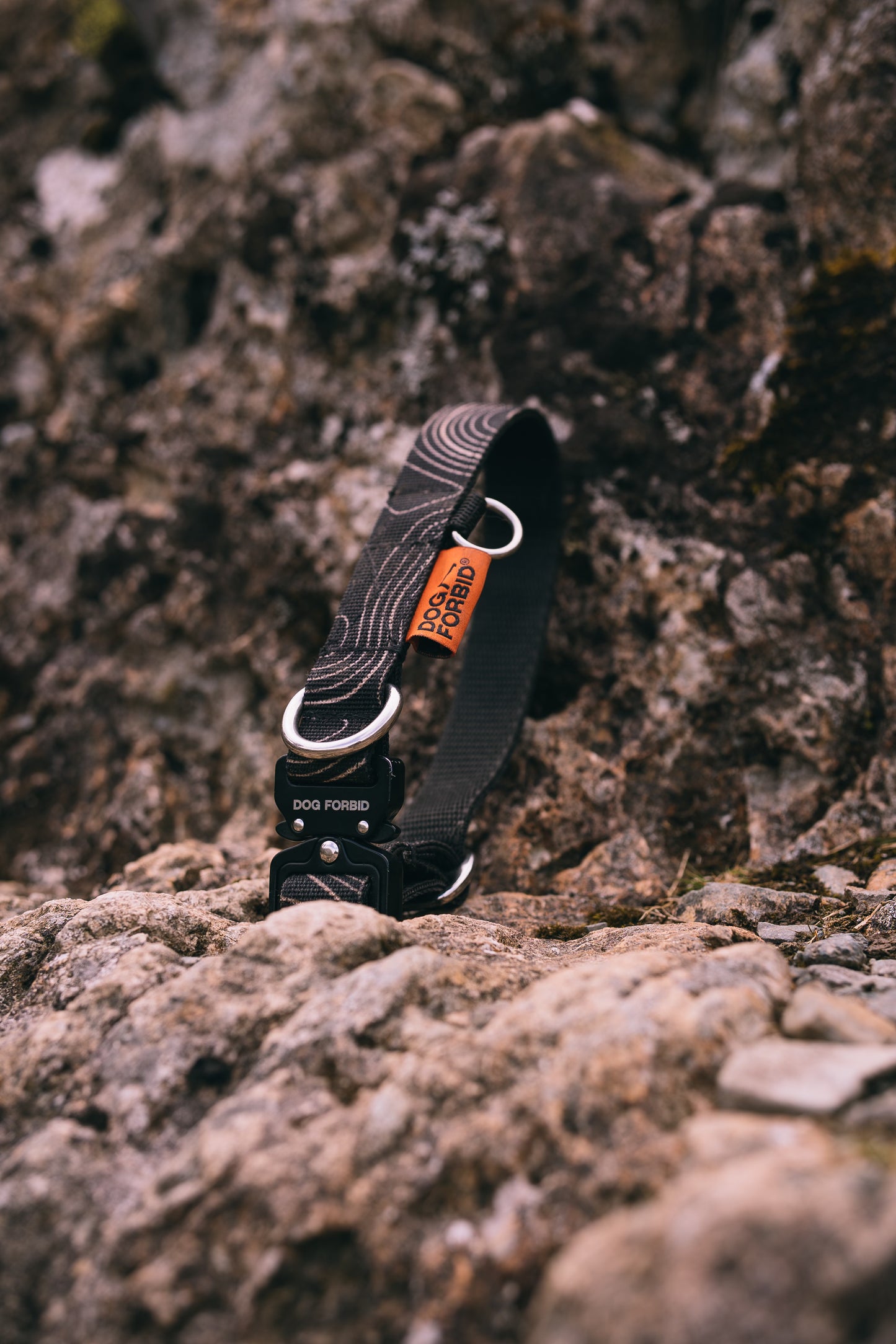 Buckle Collar: Khaki Terrain
