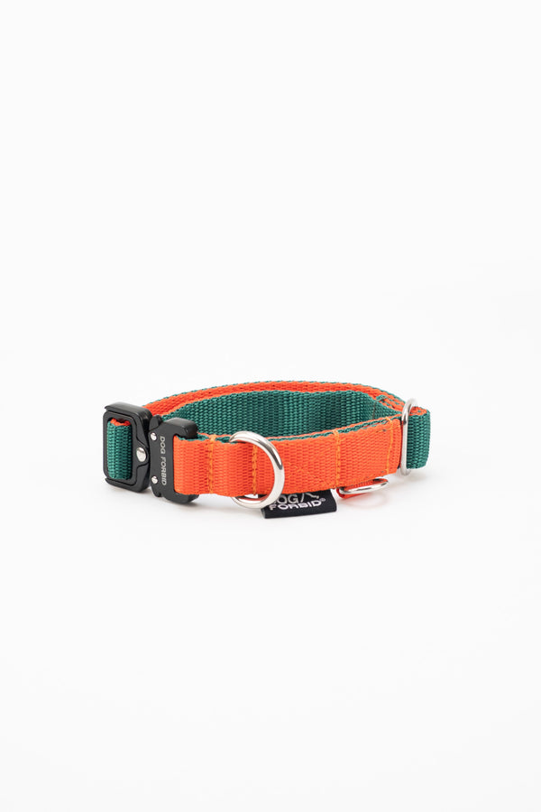 Buckle Collar