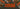 Promotional poster for a garage store with a dark grey background, large bold orange text reading 'Garage Store', and smaller 'Opening Soon' text scattered across angled photo strips, featuring the Dog Forbid logo.