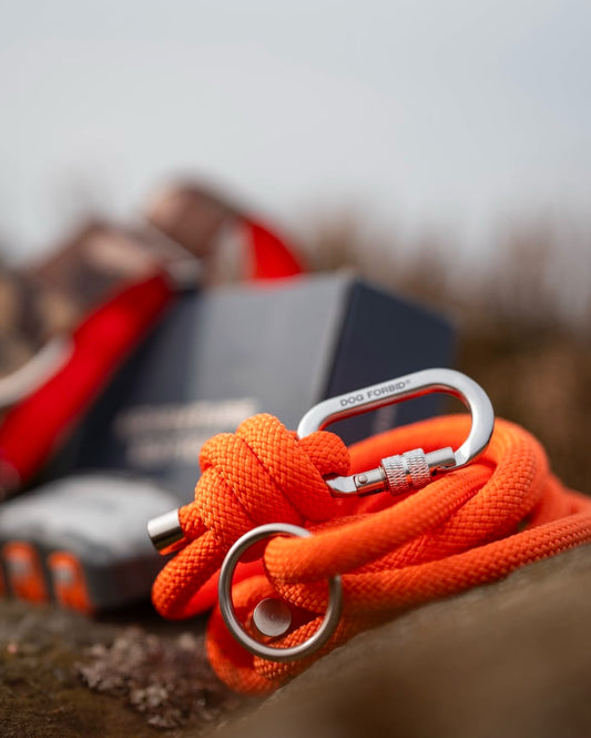 Rope Lead: Orange