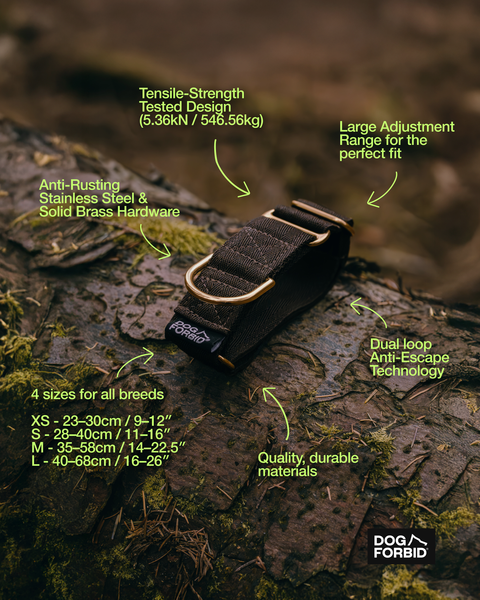 Dog Forbid SteadFast Martingale Collar with features highlighted on a natural background