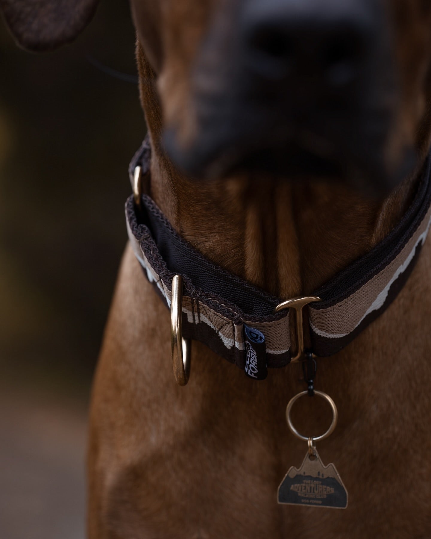 38mm Martingale: Great Hound Ridge | Double Brown