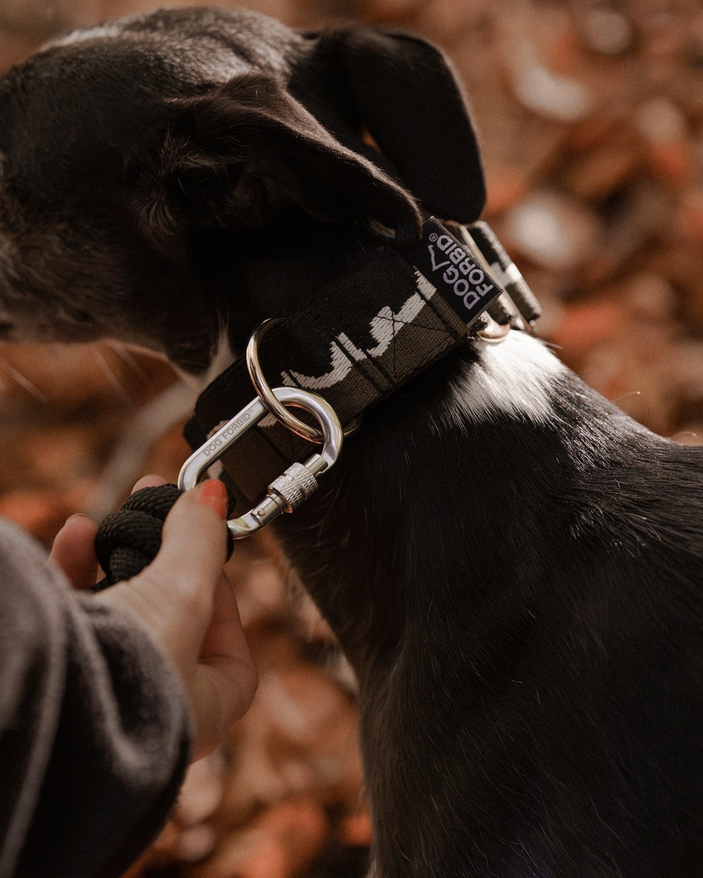 38mm Martingale: Mount Forbid | Black & Khaki