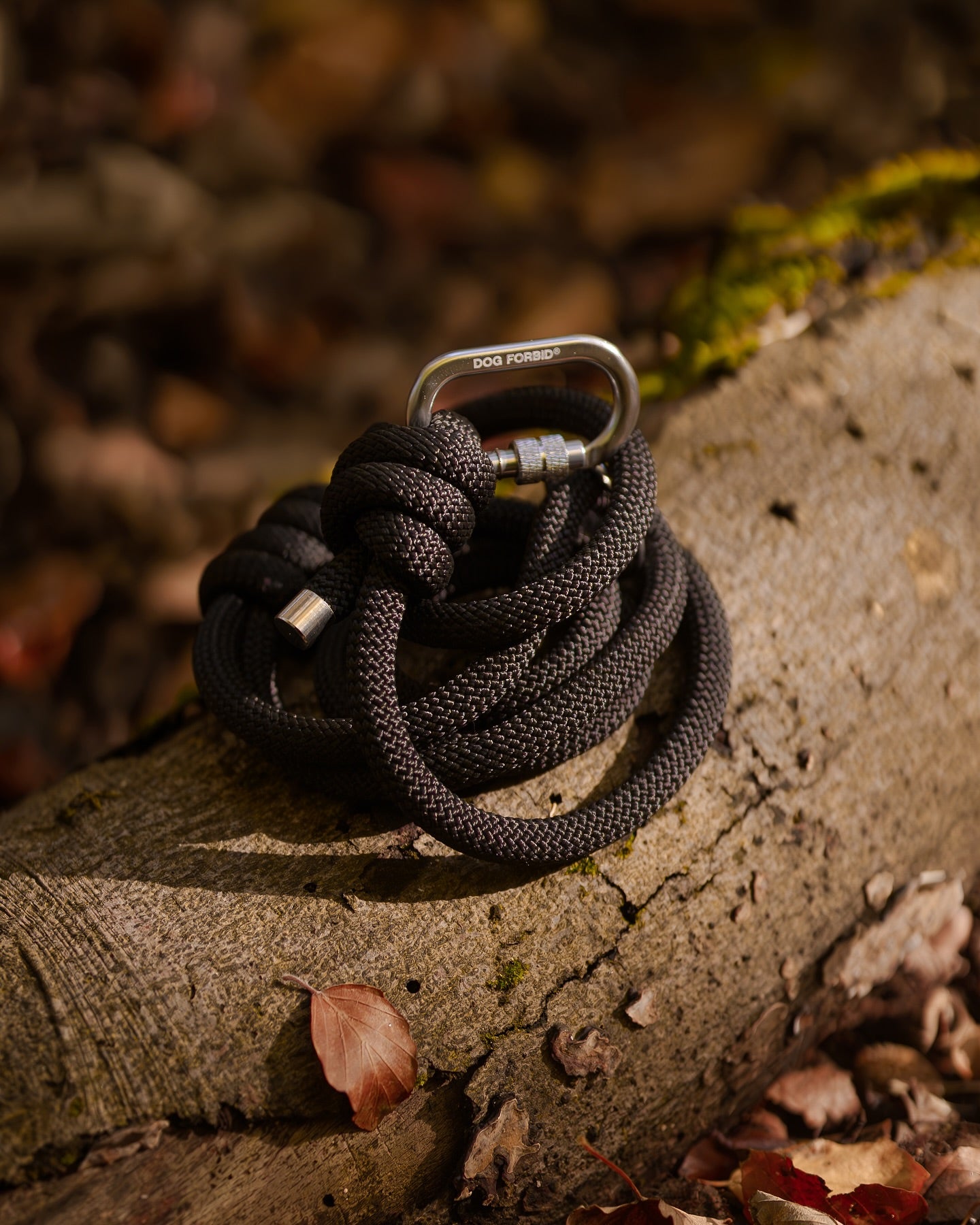 Rope Lead: Black