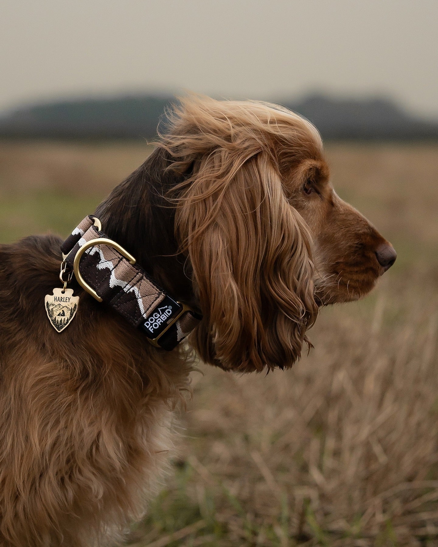 38mm Martingale: Great Hound Ridge | Double Brown