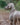 38mm Martingale: Owner's Pass | Sage & Beige